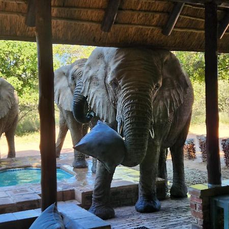 Twiga Lodge Mabalingwe Bela-Bela Exteriör bild