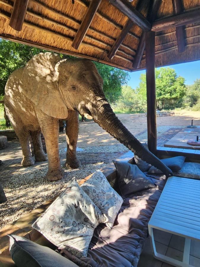 Twiga Lodge Mabalingwe Bela-Bela Exteriör bild