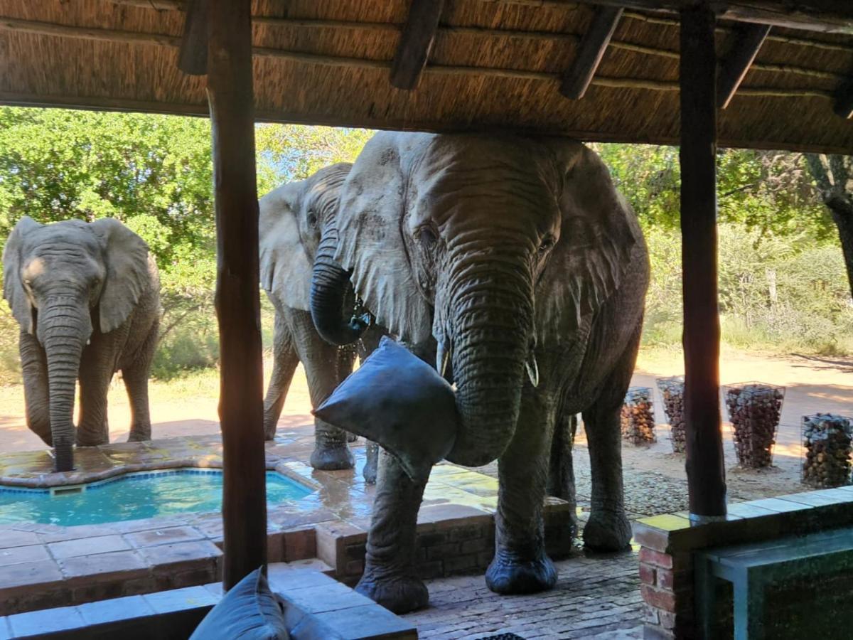 Twiga Lodge Mabalingwe Bela-Bela Exteriör bild